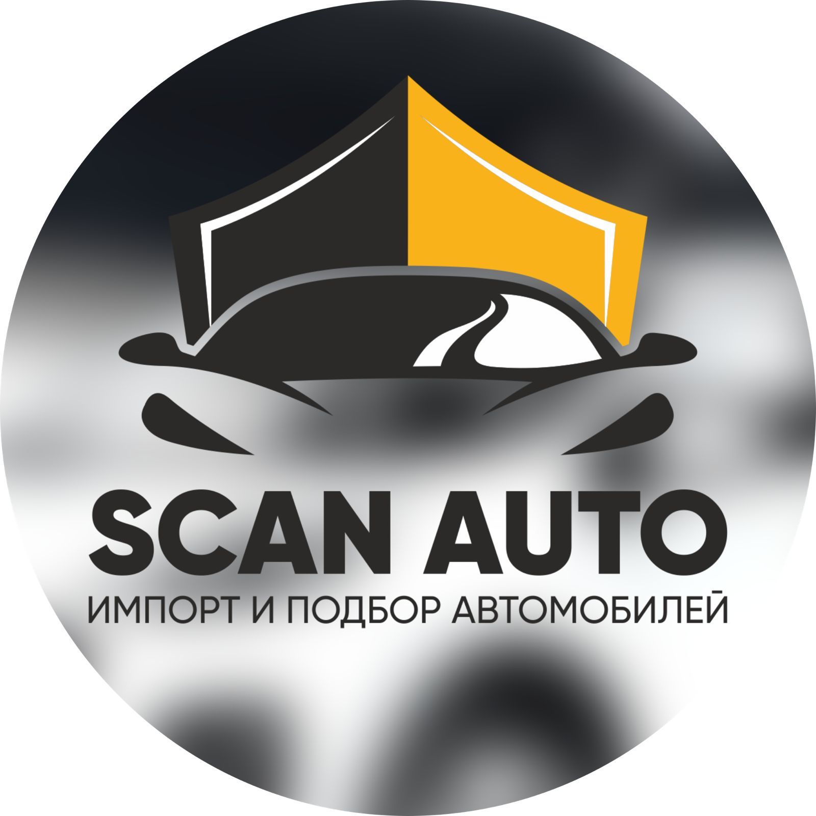 Scan Auto