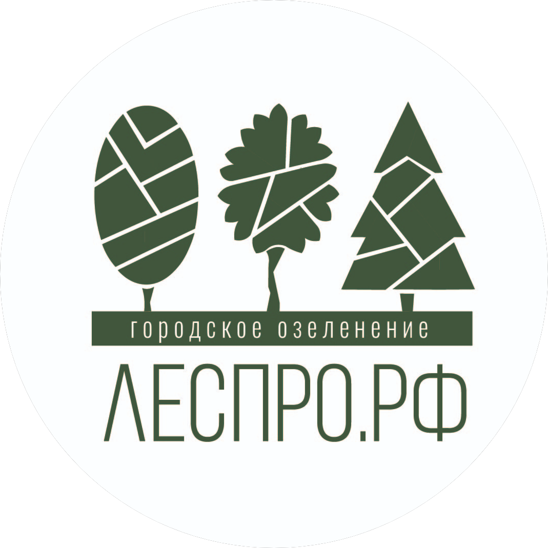 Астра
