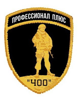 ЧОО Профессионал плюс