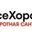 company logo