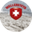Логотип компании Wellensteyn