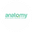 Логотип компании Anatomy