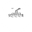 Логотип компании Балтика