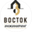 Логотип компании Восток Инжиниринг
