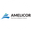 Логотип компании Амеликор Инжиниринг