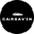 Логотип компании CARSAVIN