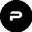 Логотип компании PN1