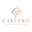Логотип компании CAKEPRO онлайн школа кондитерского искусства
