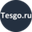 Логотип компании Tesgo