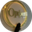 Логотип компании Салон Орфей
