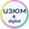 Логотип компании iZOOM.digital