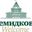company logo