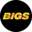 Логотип компании Bigs Global Ltd.