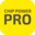 Логотип компании Chip Power Pro