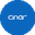 Логотип компании Cinar