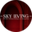 Логотип компании Sky Living - мультибрендовый бутик мебели