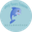 Логотип компании Дельфинёнок