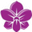 Логотип компании DiZa