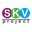 Логотип компании Скв-Проект