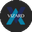 Логотип компании VIZARD Team