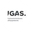 Логотип компании «ИГАС Инжиниринг»