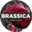 Логотип компании Brassica