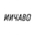 Логотип компании ИИЧАВО