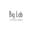 Логотип компании Digital-агентство Big Lab