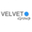 Логотип компании ВЕЛВЕТ Групп