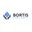 Логотип компании BORTIS