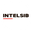 Логотип компании Компания Intelsib