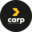 Логотип компании CARP
