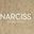 Логотип компании Narciss Beauty Home