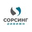 Логотип компании Cорсинг Дивижн