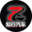 Логотип компании ZHIXING AUTO
