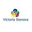 Логотип компании VICTORIA STENOVA