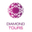 Логотип компании Diamond TOURS