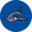 Логотип компании AutoShark