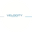 Логотип компании Velocity group (ООО Рокви)