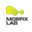 Логотип компании MorfixLab