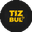Логотип компании Tizbul - магазин электротранспорта