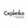 Логотип компании СЗ Скрипка СК