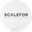 Логотип компании Scalefor Agency