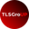 Логотип компании Тлс Групп