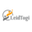 Логотип компании Леидтоги
