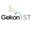 Логотип компании Гекон СТ