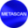 Логотип компании METASCAN