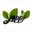 Логотип компании Yappi Food