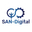 Логотип компании SAN-Digital