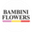 Логотип компании Bambini Flowers (ИП Щербакова Зарина Хушкадамовна)